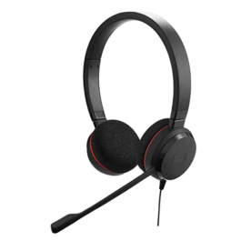 Headset with Mic