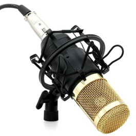 Powerpak BM 800 Mic