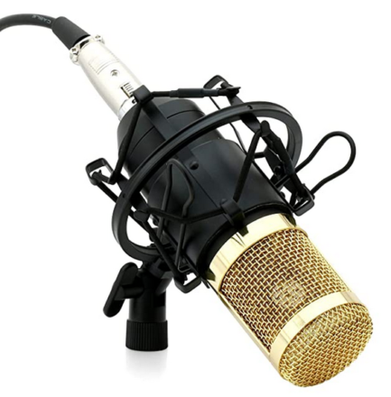 Powerpak BM 800 Mic