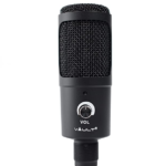 VAULT mic