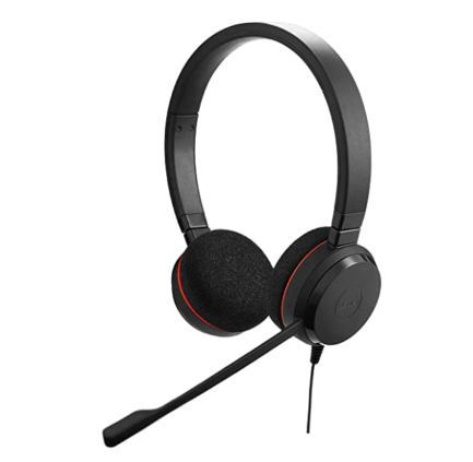 Headset with Mic