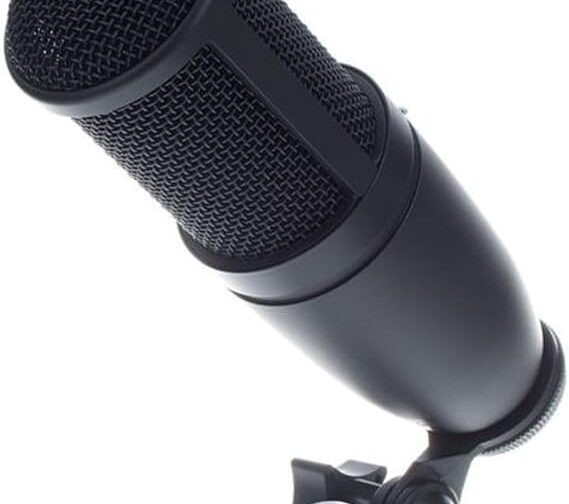 AKG P120 condenser microphone front view for home recording