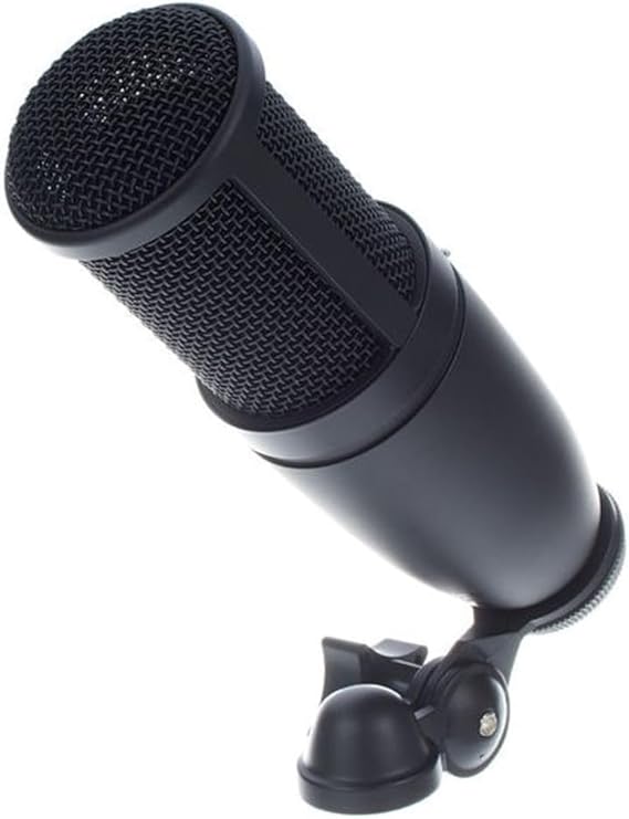 AKG P120 condenser microphone front view for home recording