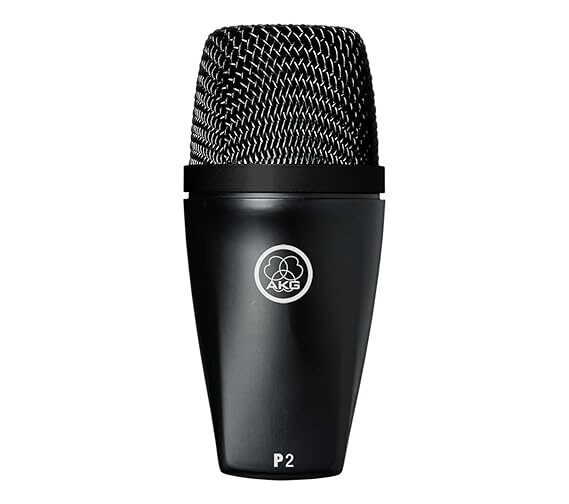 AKG P2 Instrument Dynamic Microphone for Bass and Drums