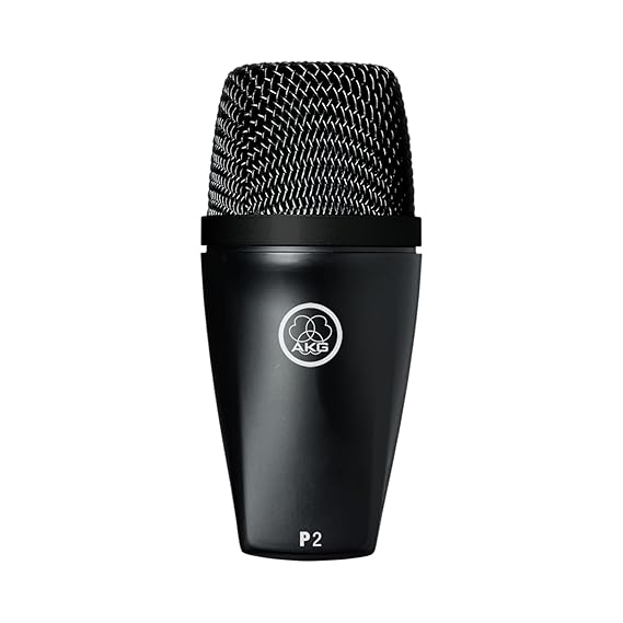 AKG P2 Instrument Dynamic Microphone for Bass and Drums